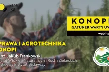 Uprawa i agrotechnika konopi | Webinar ”Konopie – gatunek warty uwagi” - INFOGRAFIKA