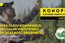 Rynek oleju konopnego. Aktualne możliwości i opłacalność produkcji | ”Konopie – gatunek warty uwagi” - INFOGRAFIKA