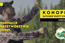 Przetwórstwo konopi w Polsce | Webinar ”Konopie – gatunek warty uwagi” -infografika