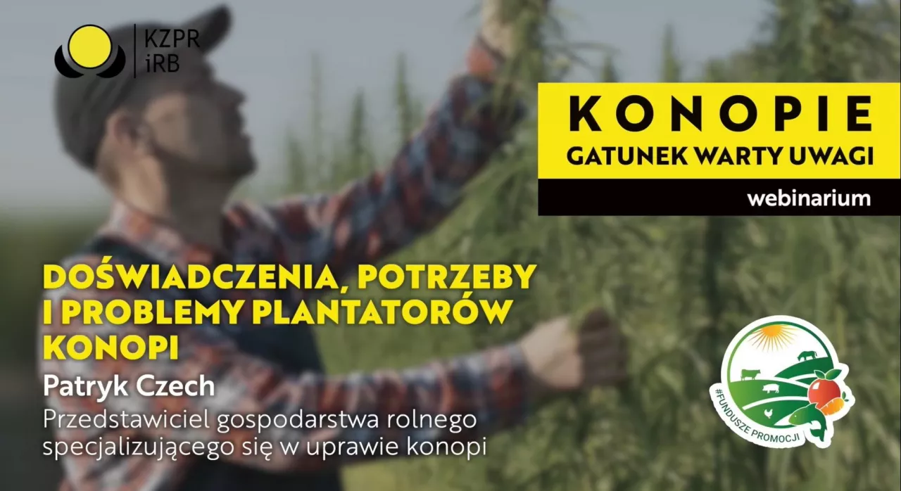 Doświadczenia, potrzeby i problemy plantatorów konopi | Webinar ”Konopie – gatunek warty uwagi” - infografika