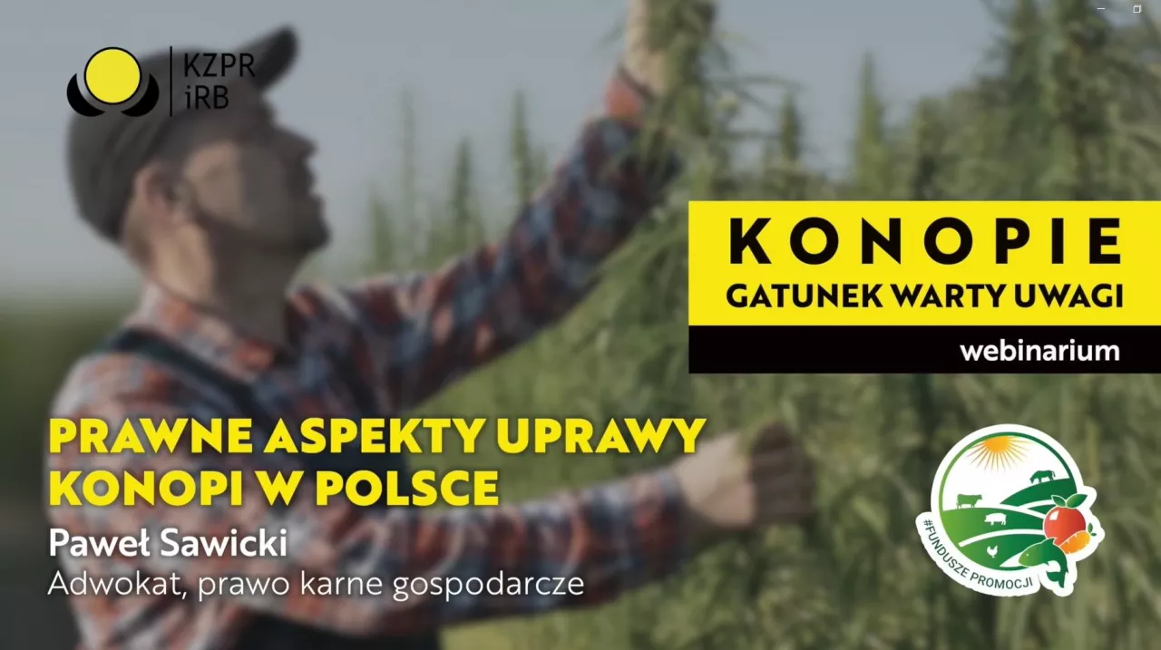 Prawne aspekty uprawy konopi w Polsce | Webinarium ”Konopie – gatunek warty uwagi” - infografika