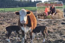 Święto u Emilki z Rolnicy Podlasie. Urodziły się piękne bliźniaki [WIDEO]