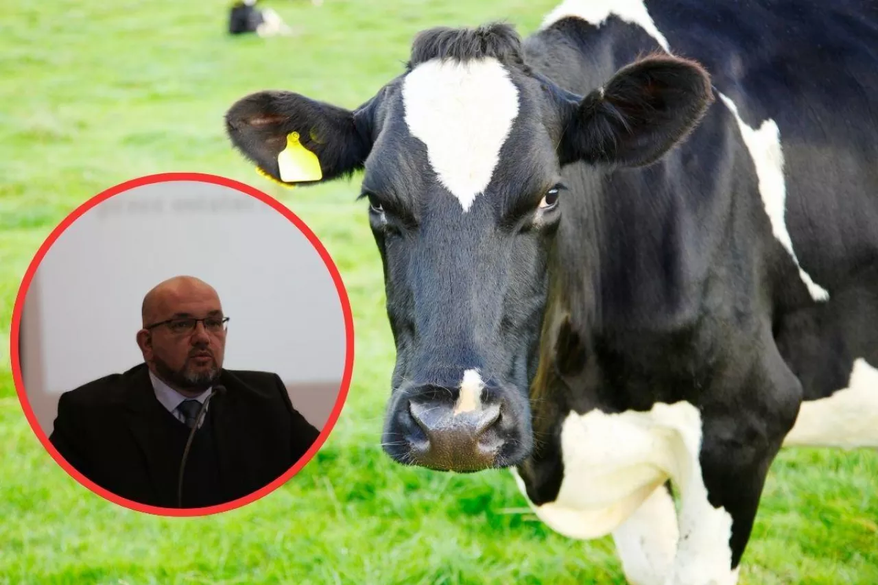 Czy dojdzie do zjednoczenia w mleczarstwie? ”Coraz gorsze perspektywy rynkowe”