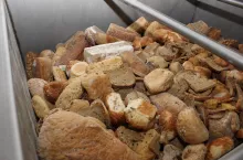 Pieczywo może być wykorzystane jako pasza dla świń, dzięki czemu zmniejszamy marnowanie żywności