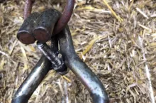 Nakrętka pomiędzy prętami haka i śruba M8 o długości 4 cm zapobiegają wydostaniu się ucha z haka.