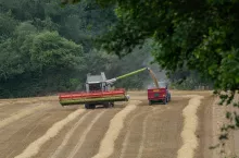 kombajn zboża zbór zbóż