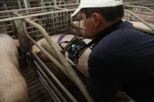 USG loch, Chrostowski