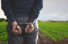 Jak podał ukraiński resort rolnictwa (informacja z godz. 12:53) ”na rzecz Ministra Polityki Agrarnej i Żywności Ukrainy Mykoły Solskiego złożono depozyt w wysokości 75,7 mln UAH. Wysokość kaucji określa orzeczenie Wysokiego Trybunału Antykorupcyjnego. Mykoła Solski został zwolniony z aresztu i nadal wykonuje uprawnienia Ministra Polityki Agrarnej i Żywności Ukrainy”. 