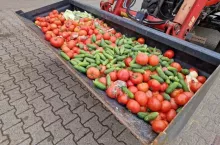 Warzywa wycofane ze sprzedaży