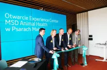 Firma ma w ofercie ok. 400 typów kolczyków gospodarskich i rocznie produkuje blisko 400 mln sztuk, fot. KW