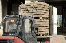 Załadunek pietruszki