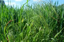 SAMSUNG DIGITAL CAMERA