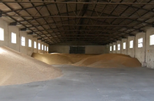 magazynowanie zboża