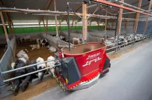 Trioliet Triomatic WB 2 300 porusza się autonomicznie po oborze i gospodarstwie i jest w stanie obsłużyć kilka obór.