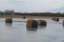 534701