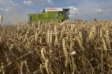 Żniwa Zamojskie Claas