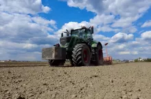 Formowanie redlin marchew