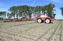 Ochrona kukurydzy przed chwastami. Jaki oprysk sprawdzi się najlepiej?