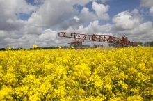 Kwitnący rzepak w trakcie oprysku