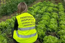 Państwowa Inspekcja Ochrony Roślin i Nasiennictwa