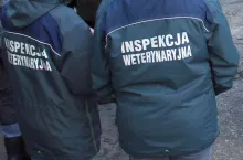 Weterynaria zablokowała ponad 20 transportów z Ukrainy.