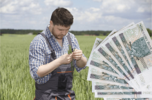 Młody rolnik 2024: wypłata premii nawet po 1,5 roku! Jakie zmiany?