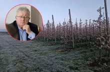 Ministerstwo rolnictwa poinformowało, z jakich form pomocy mogą skorzystać rolnicy poszkodowani w wyniku przymrozków