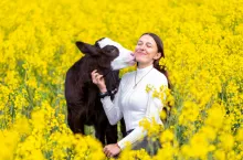 Wedel jest byczkiem rasy holsztyńsko-fryzyjskiej.