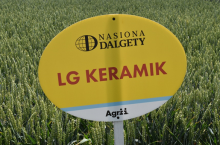 AgriiDemo 2024: gdzie i kiedy? Jakie produkty?