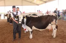 Malina Andrzeja Michalaka z Krokowa zwyciężyła w grupie najstarszych białogrzbietek