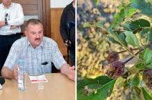 - Pierwsze owoce będą najwcześniej za 1,5 roku albo za 2 lata. Do tego czasu rolnicy nie będą mieli z czego żyć i z czego spłacać kredytów – mówi wiceprezes Związku Sadowników RP Krzysztof Cybulak.