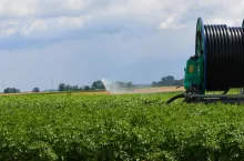 Latem na plantacjach nawadnianych dogodne do rozwoju warunki znajduje zarówno zaraza, jak i alternarioza ziemniaka. W ochronie wymaga to stosowania najlepszych fungicydów skutecznych na obie jednostki chorobowe