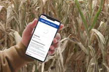 Uprawy schną. Rolnicy apelują o uruchomienie aplikacji suszowej