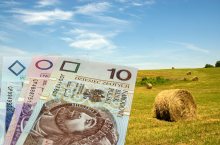W jaki sposób ustalane są roczne czynsze dzierżawy?