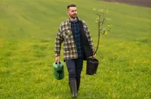 Dotacje na zalesianie