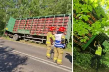 Kierowca ciężarówki stracił panowanie nad pojazdem, co doprowadziło do zjechania z jezdni.