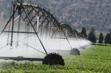 Mostowa deszczownia kołowa, źródło: pixbay.com