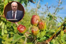 Wiceminister rolnictwa: rolnicy potrzebują natychmiastowej pomocy od rządu