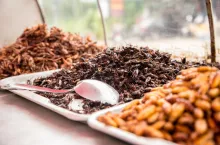 Specjalne oznakowanie na opakowaniu poinformuje konsumenta o zawartości owadów w produkcie.