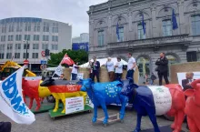 Protest producentów mleka w Brukseli (27.05.2024)