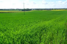 SAMSUNG DIGITAL CAMERA