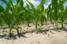 SAMSUNG DIGITAL CAMERA