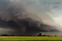 Dla kogo ubezpieczenie upraw jest obowiązkowe? Jakie kary?
