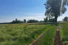 O jakich terminach nie powinni zapomnieć rolnicy?