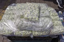 Bób na rynku hurtowym Bronisze