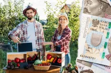 Dotacje dla producentów owoców i warzyw. Na co i jakie pieniądze można dostać?
