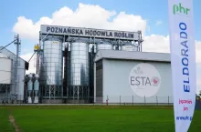 Wyka ozima Rea i pszenżyto Tinos; Fot. A. Jasińska