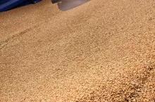 856111