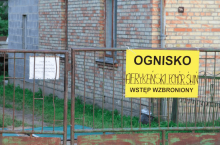 W Polsce w 2024 r. wyznaczono już 3 ogniska ASF