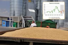 Jakie będą ceny zbóż w sezonie 2024/2025?